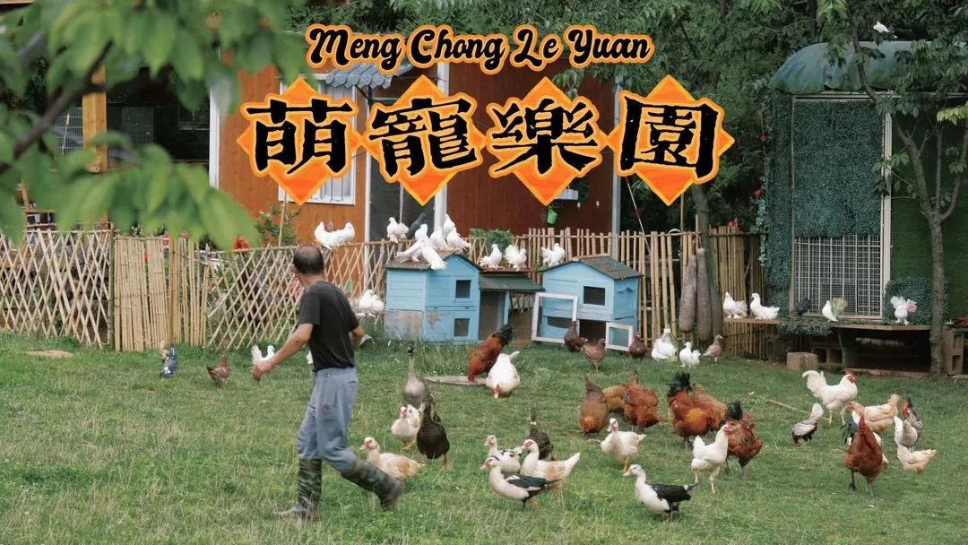 一部手机游云南