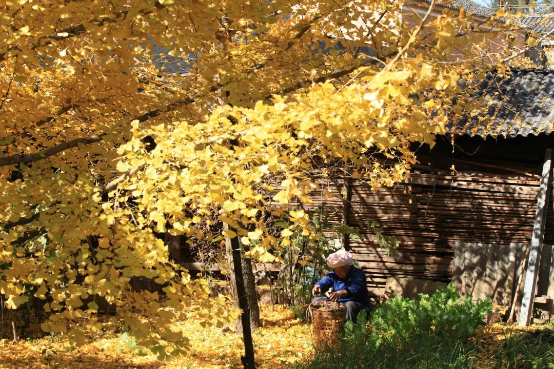 昆明市旅游监察支队