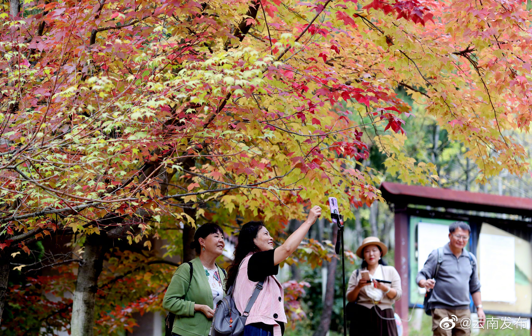 “云南发布”微博