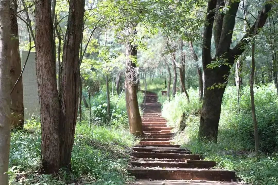 悦读嵩明