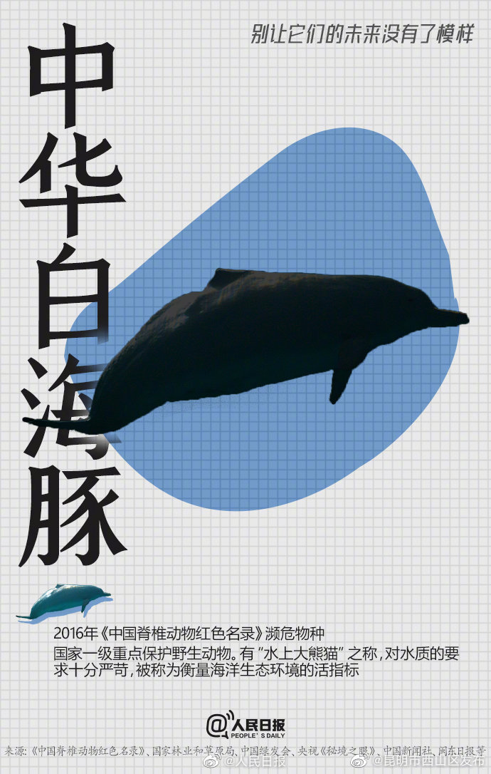 昆明市西山区发布