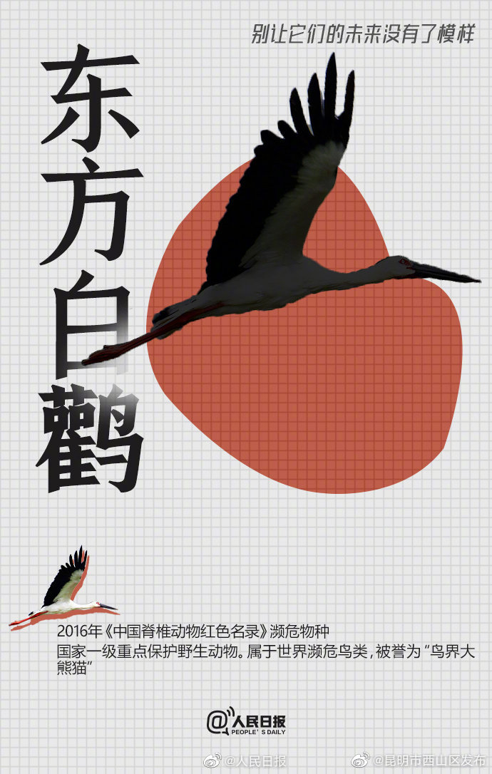 昆明市西山区发布