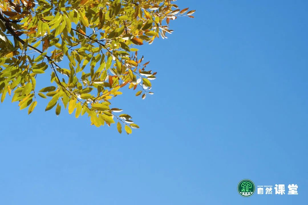 云南野生动物园