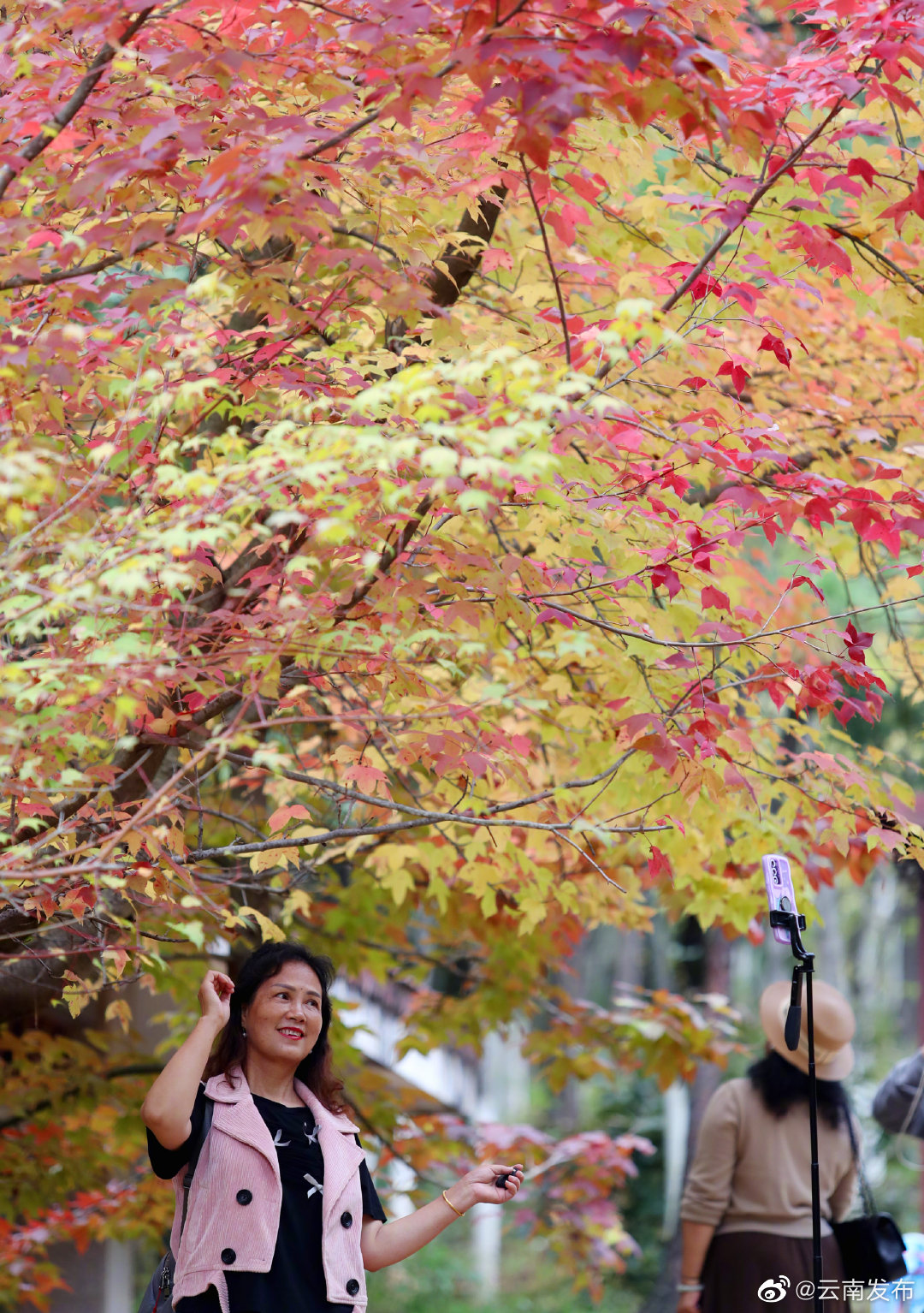 “云南发布”微博