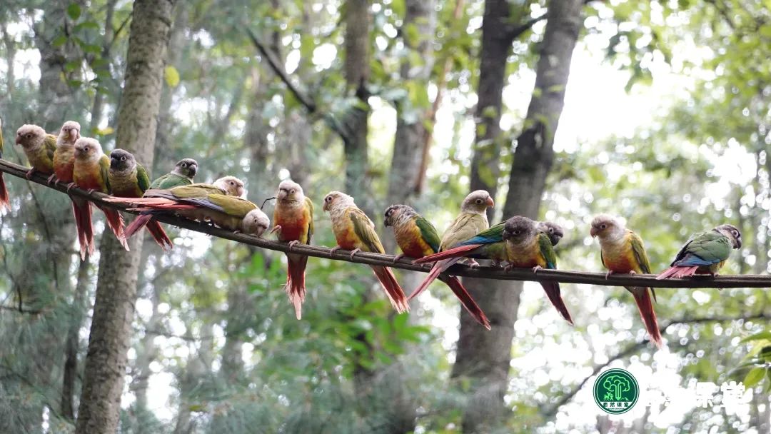云南野生动物园