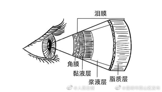 昆明市西山区发布