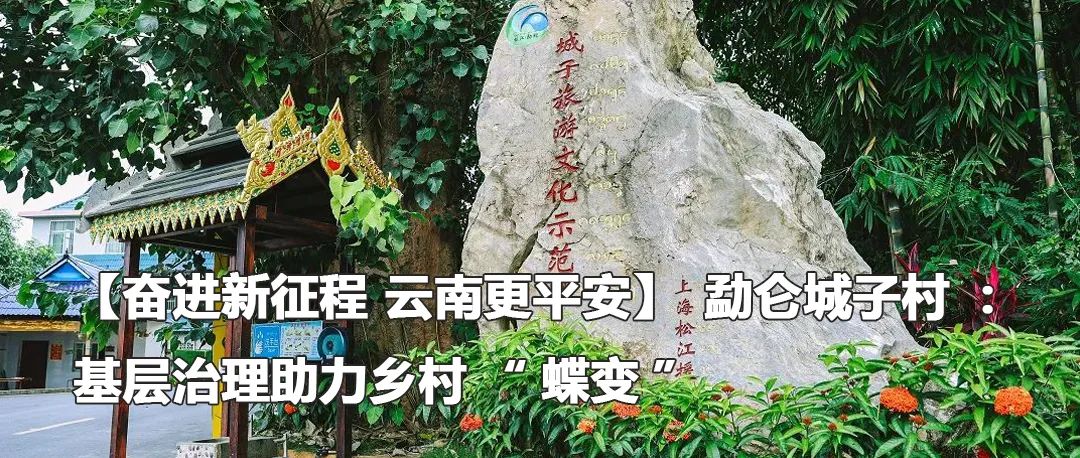 云南政法
