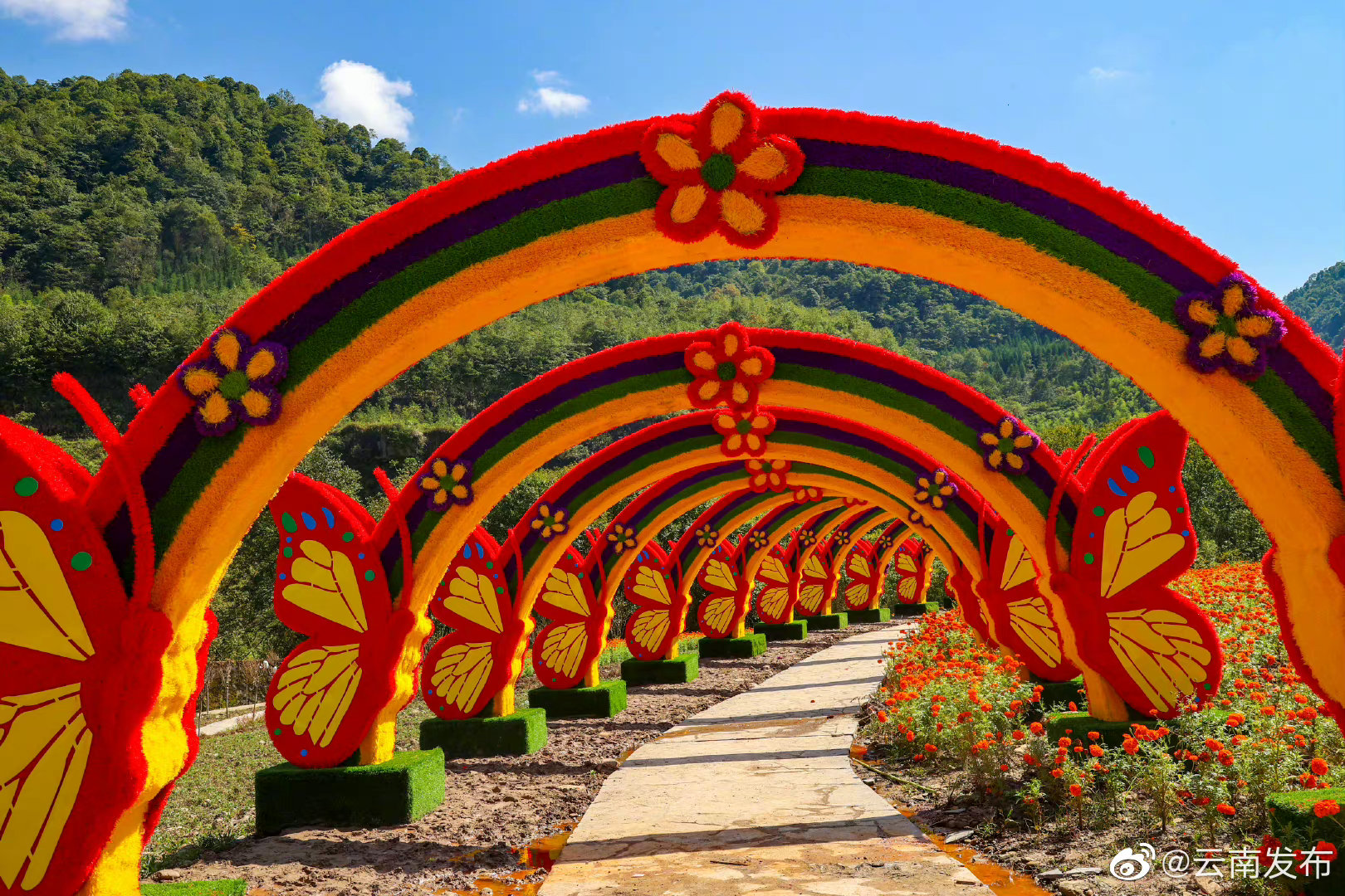 “云南发布”微博