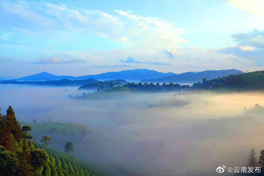 “云南发布”微博