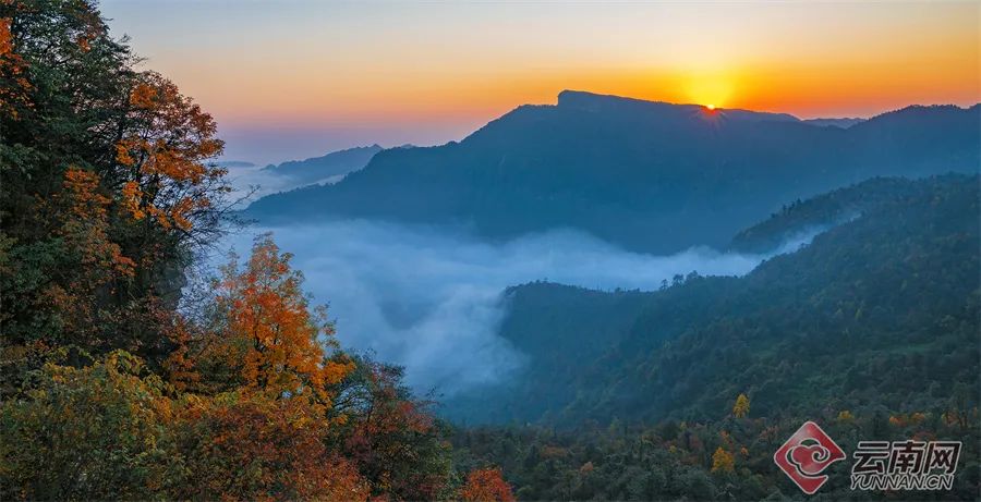 昆明市旅游监察支队