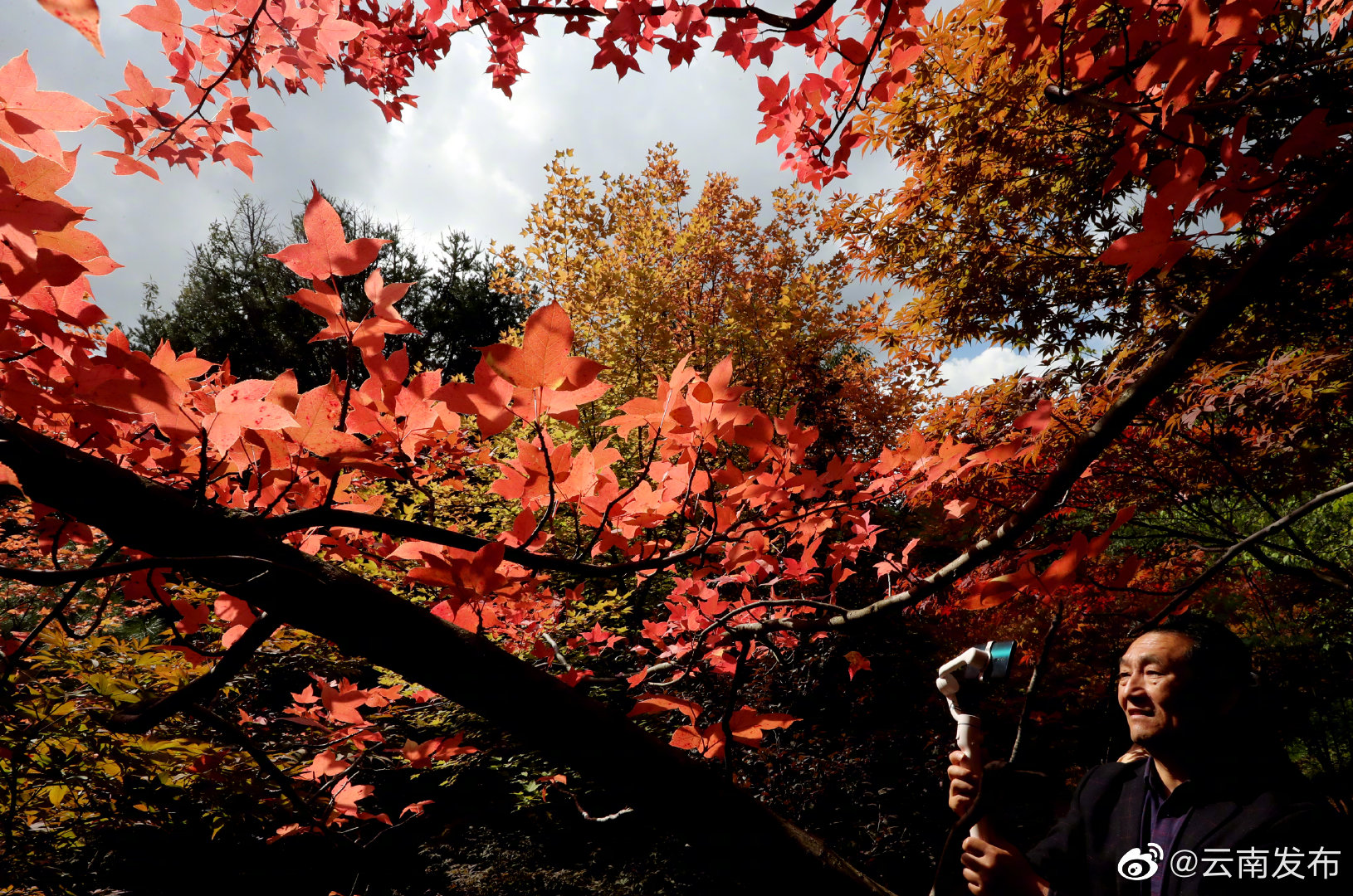 “云南发布”微博