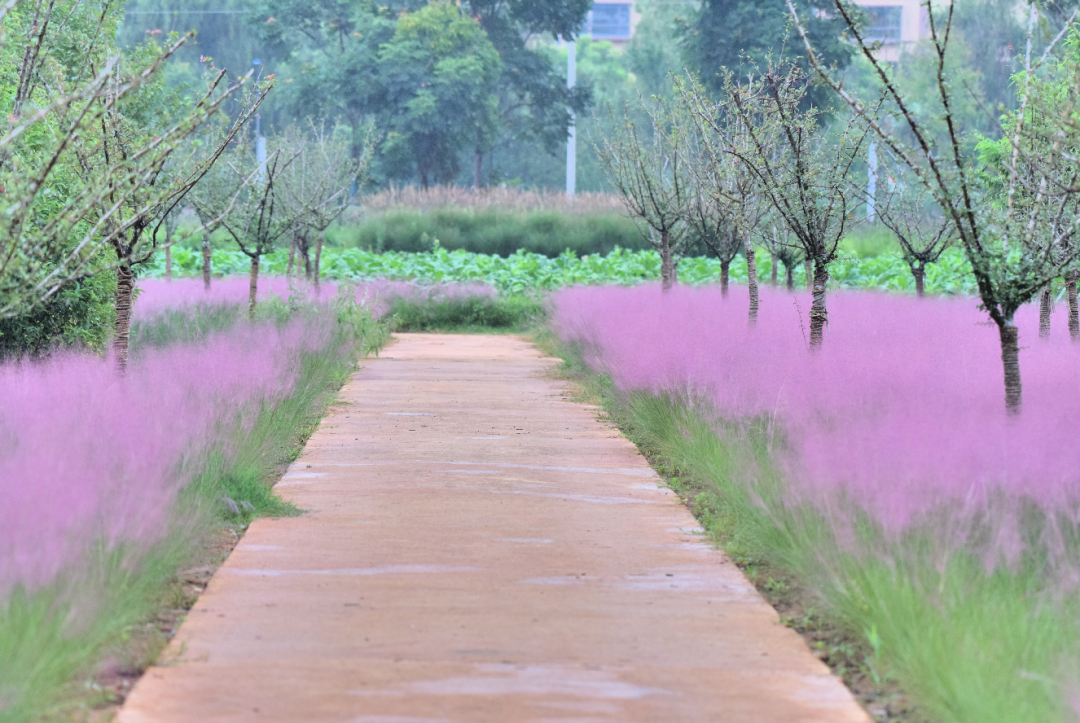 昆明市旅游监察支队