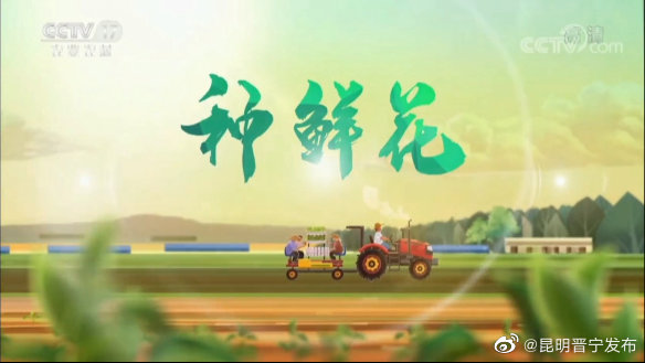 晋宁，又上央视了