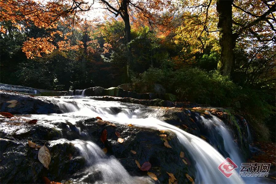 昆明市旅游监察支队