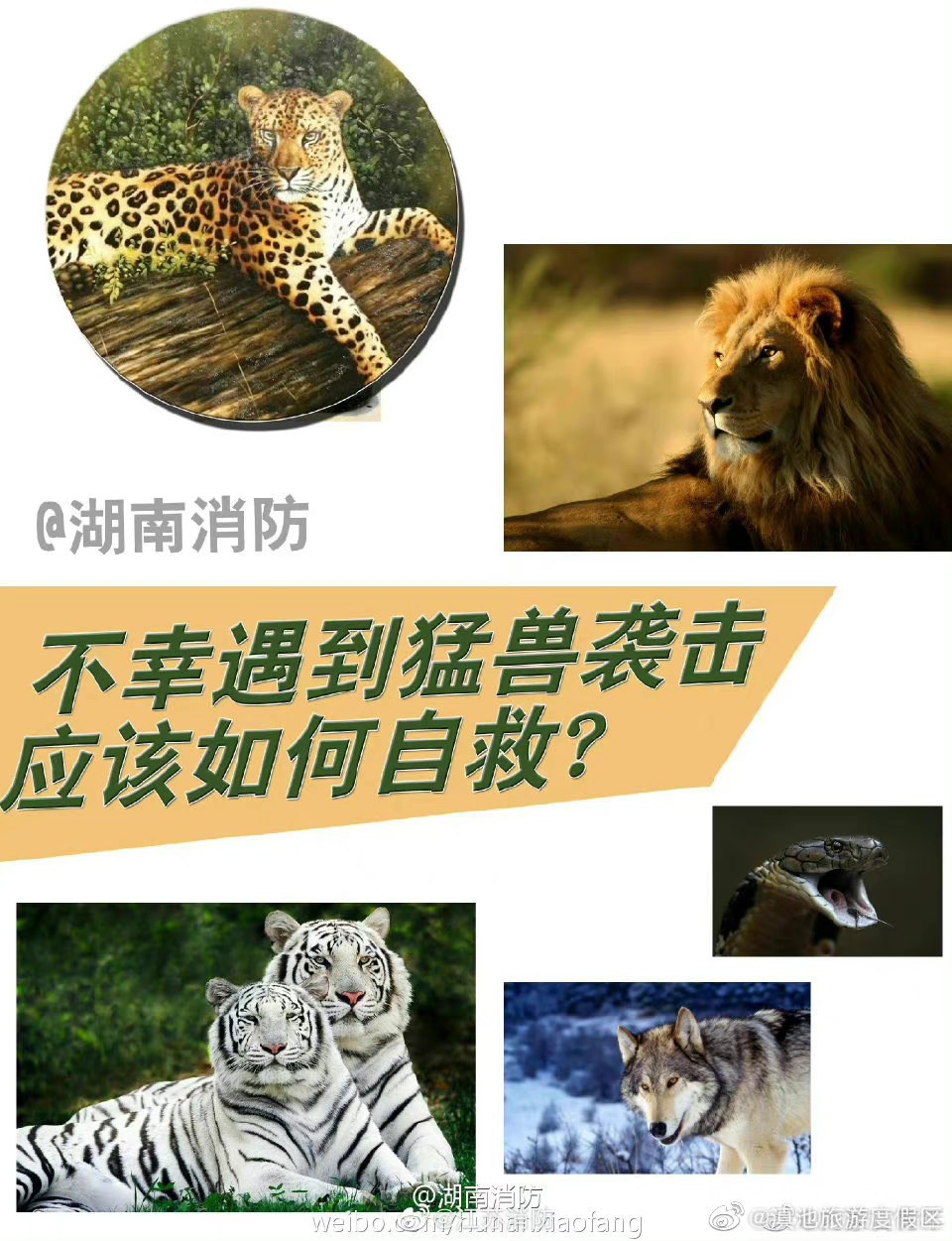 滇池旅游度假区