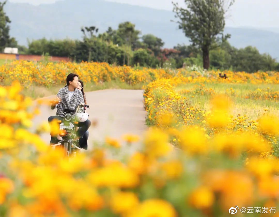 “云南发布”微博