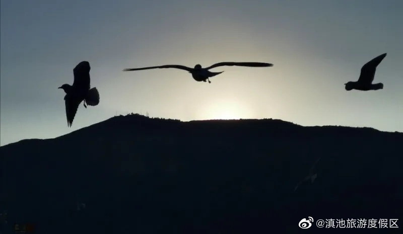 滇池旅游度假区