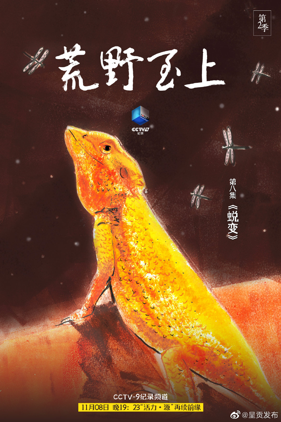 呈贡发布