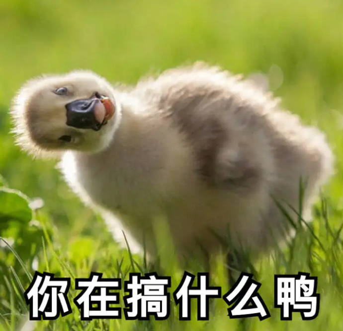 昆明信息港/cnkmxxg