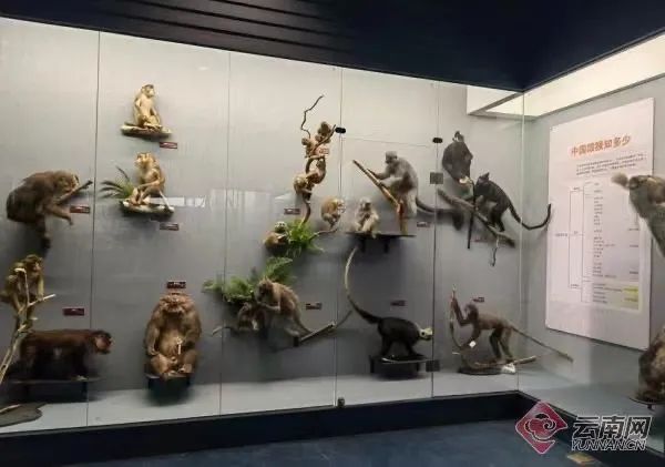 昆明五华发布