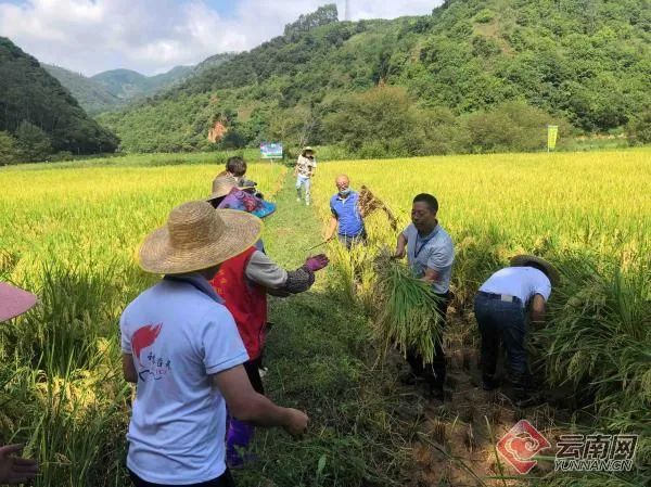 昆明市农业农村局