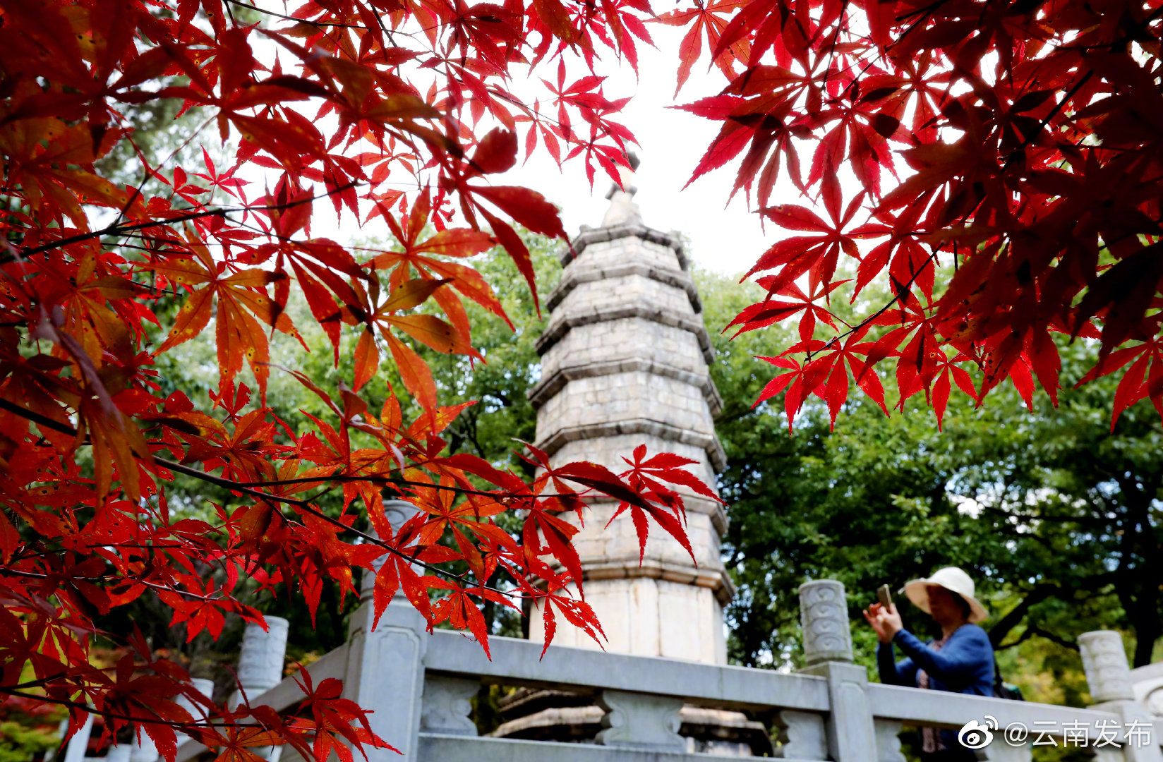 “云南发布”微博