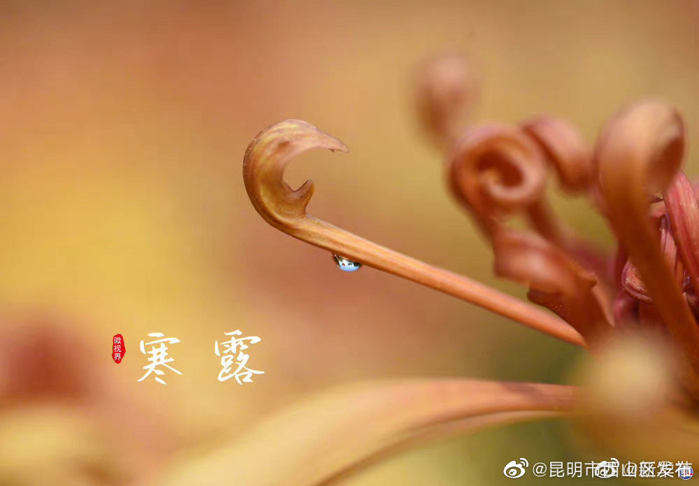 昆明市西山区发布