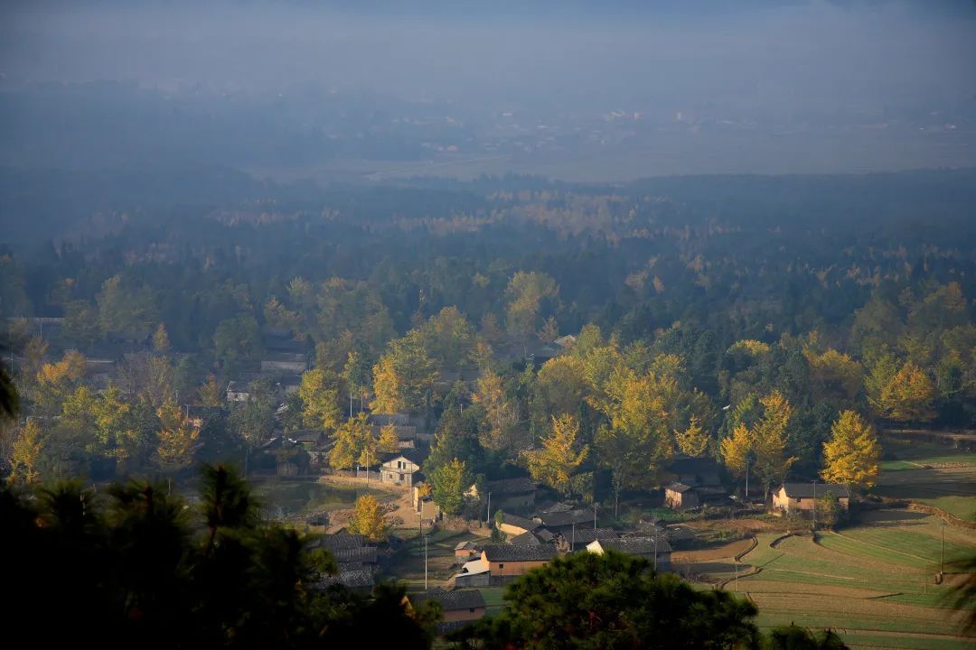 昆明市旅游监察支队