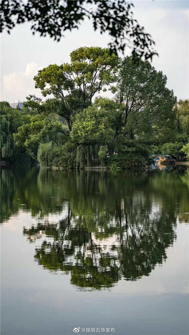 “昆明五华发布”微博