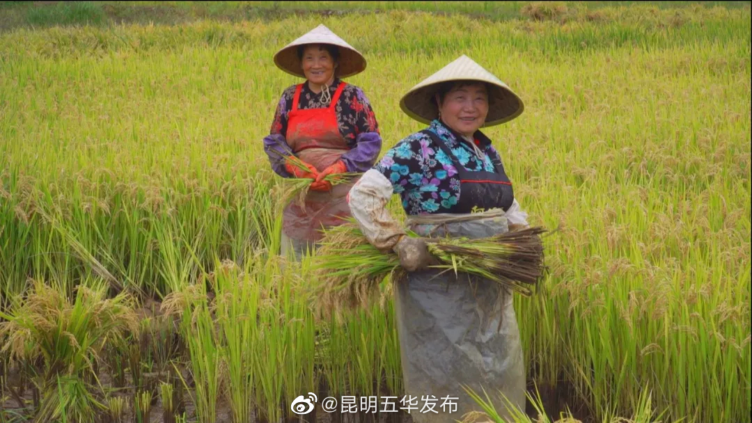 “昆明五华发布”微博