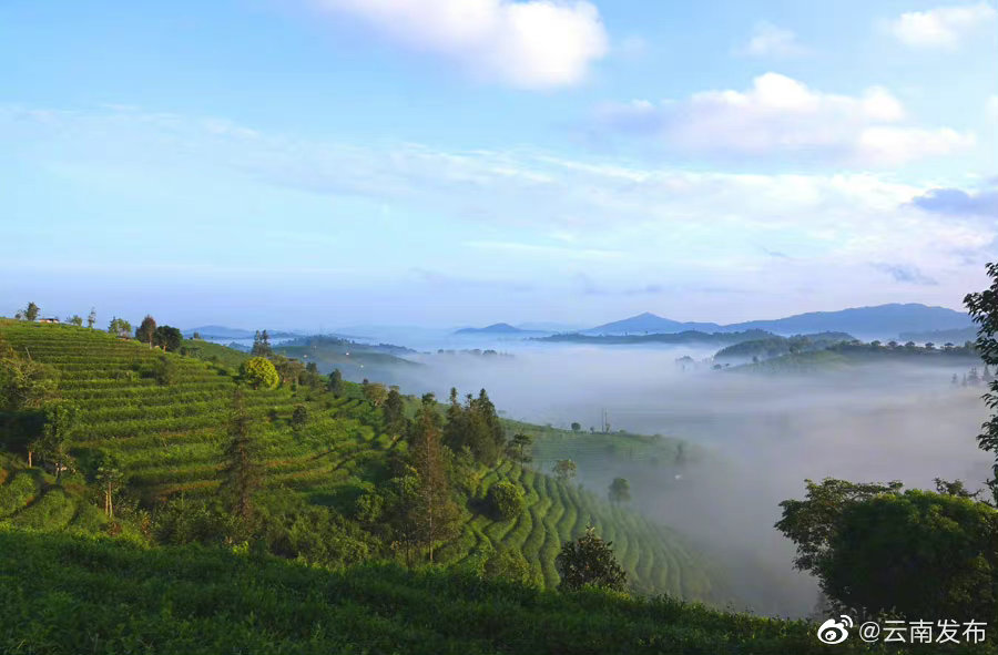 “云南发布”微博