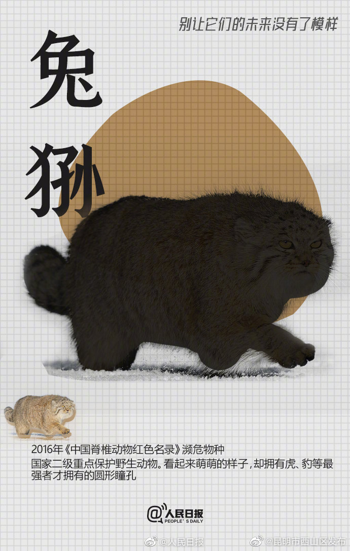 昆明市西山区发布