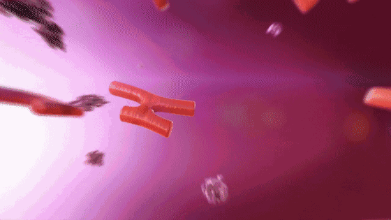 肾脏出问题的6个表现