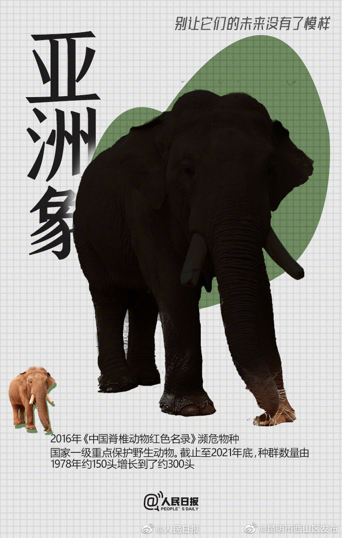 昆明市西山区发布