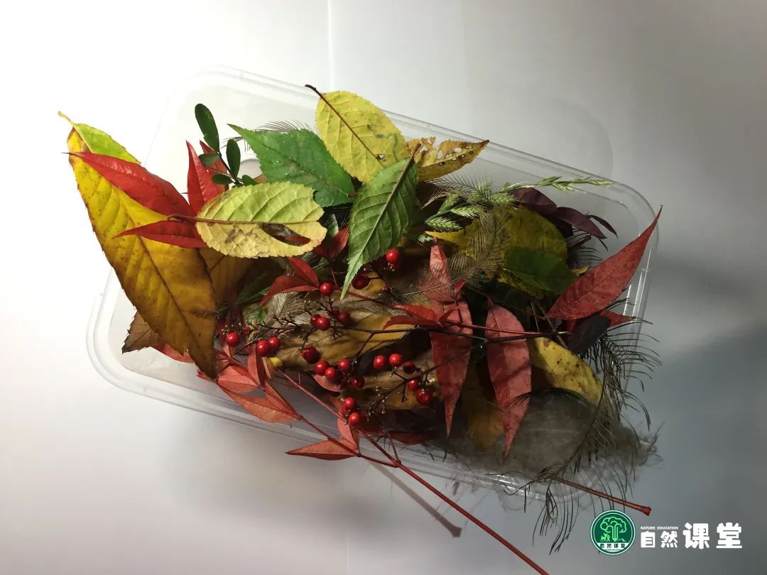 云南野生动物园