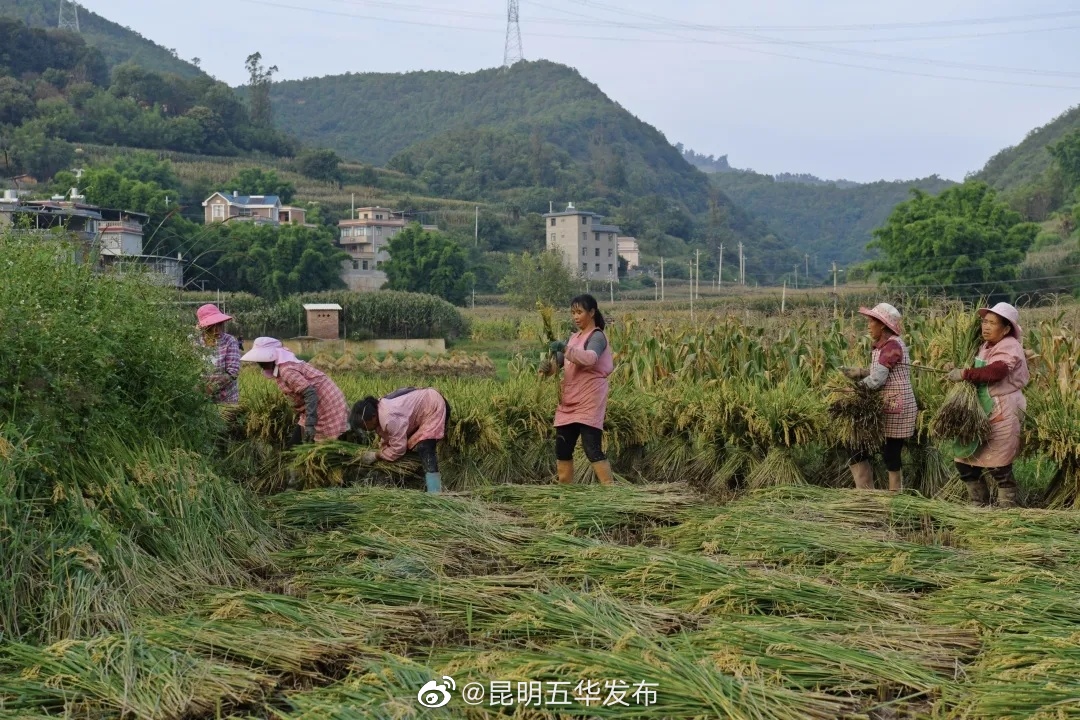 “昆明五华发布”微博