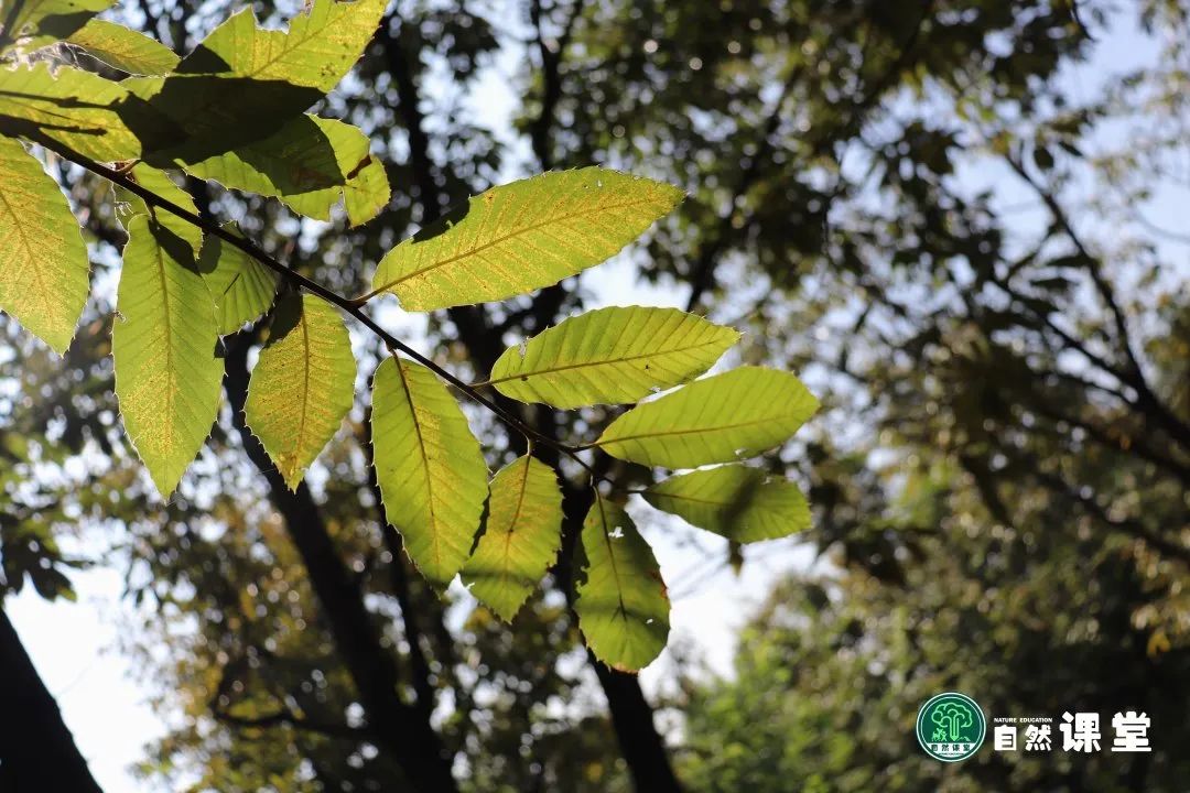 云南野生动物园