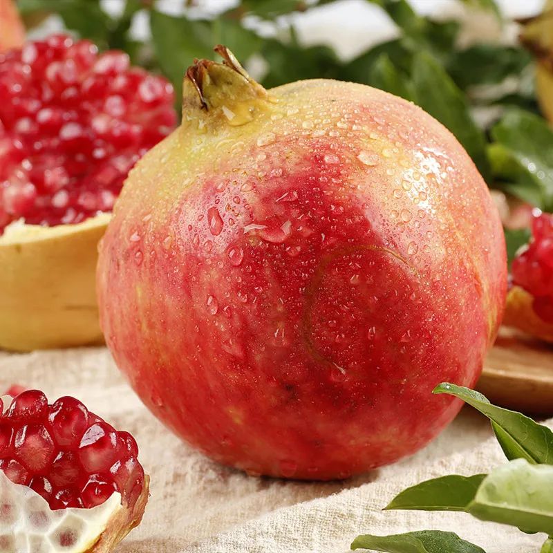 一部手机游云南