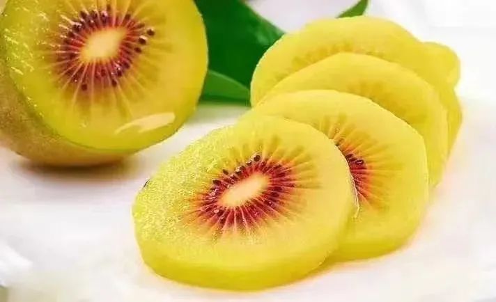 一部手机游云南