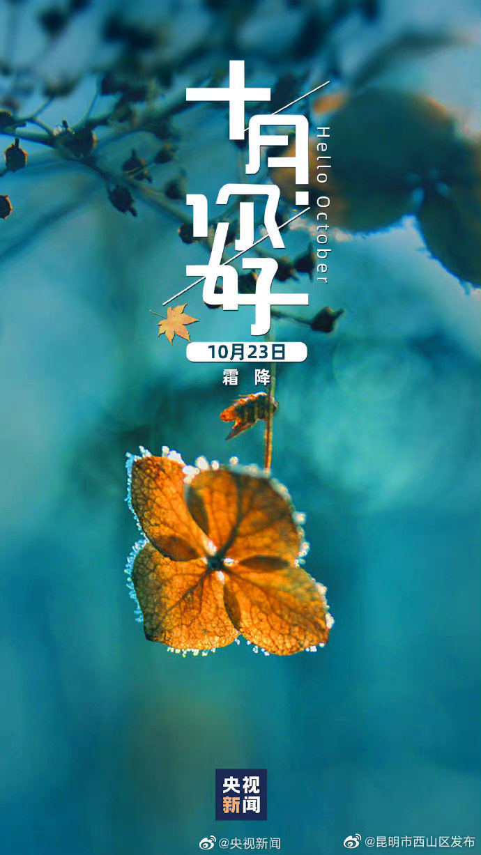 昆明市西山区发布