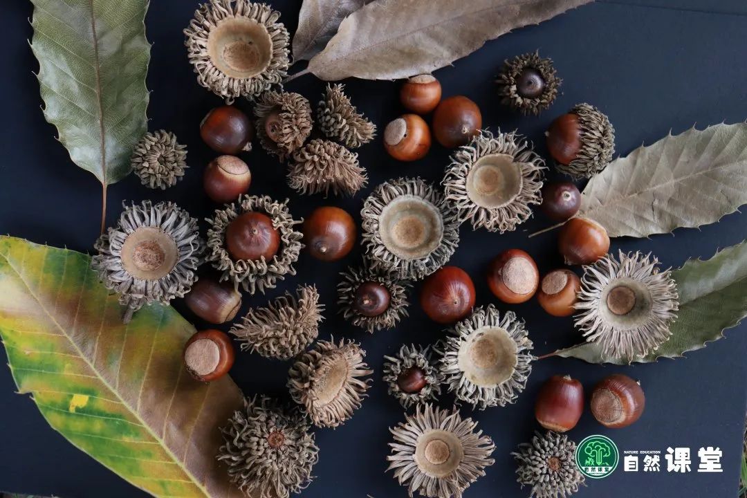 云南野生动物园