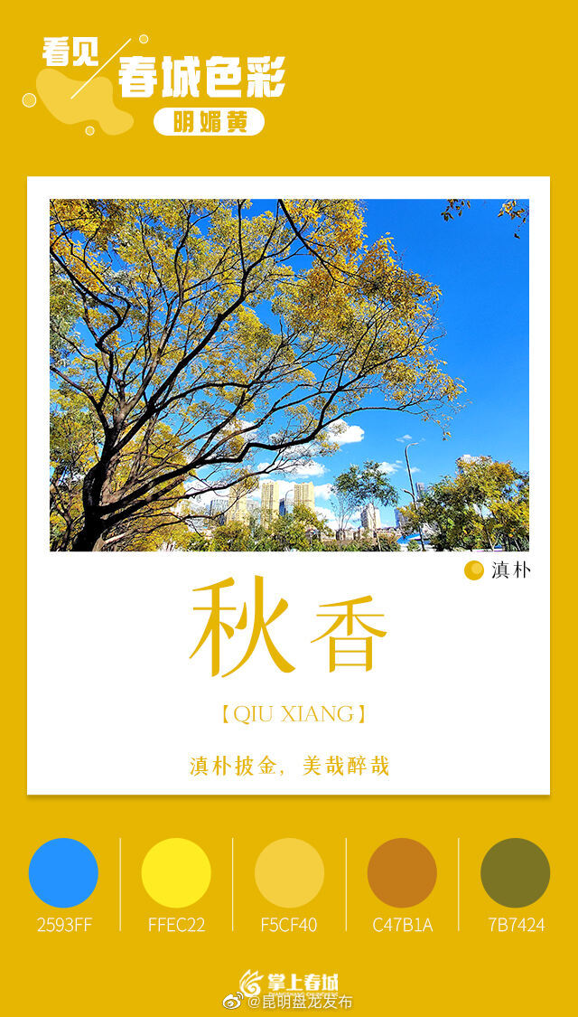 昆明盘龙发布