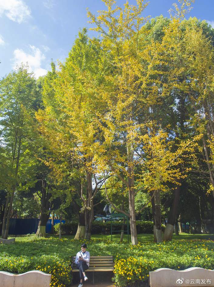 “云南发布”微博