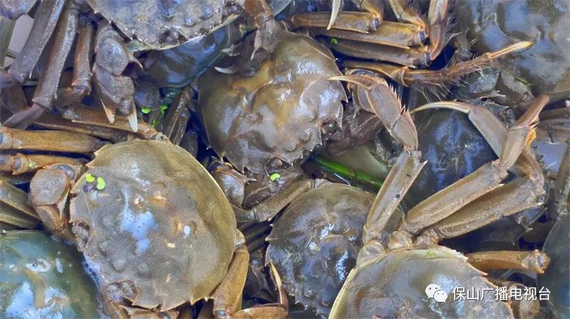 保山广播电视台