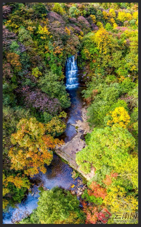 昆明市旅游监察支队