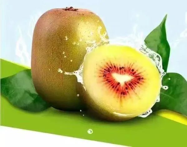 一部手机游云南