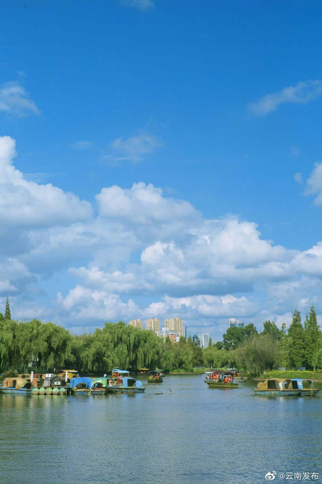 “云南发布”微博