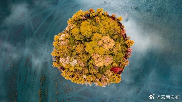 “云南发布”微博