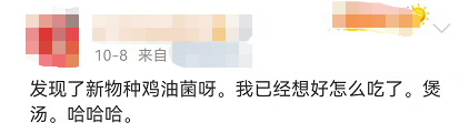 云南广播电视台