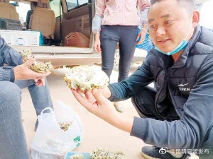 “昆明官渡发布”微博